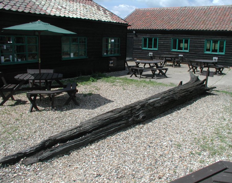 Wicken Fen