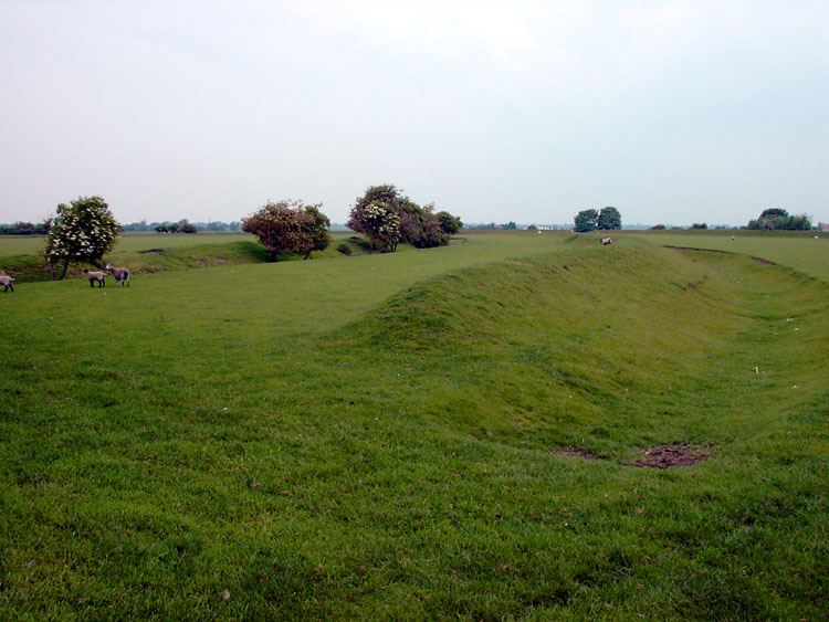 Restored after being totally ploughed out, Stonea Camp is on a gravel island and was once surrounded by wet fens.  Now that the fens have been drained, it stands 2 meters above sea level surrounded by hundreds of square miles of cabbages and beets. 