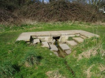 Horse common spring - PID:37576