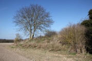 Melbourn Long Barrow - PID:130821