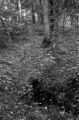 Knapwell - PID:44518
