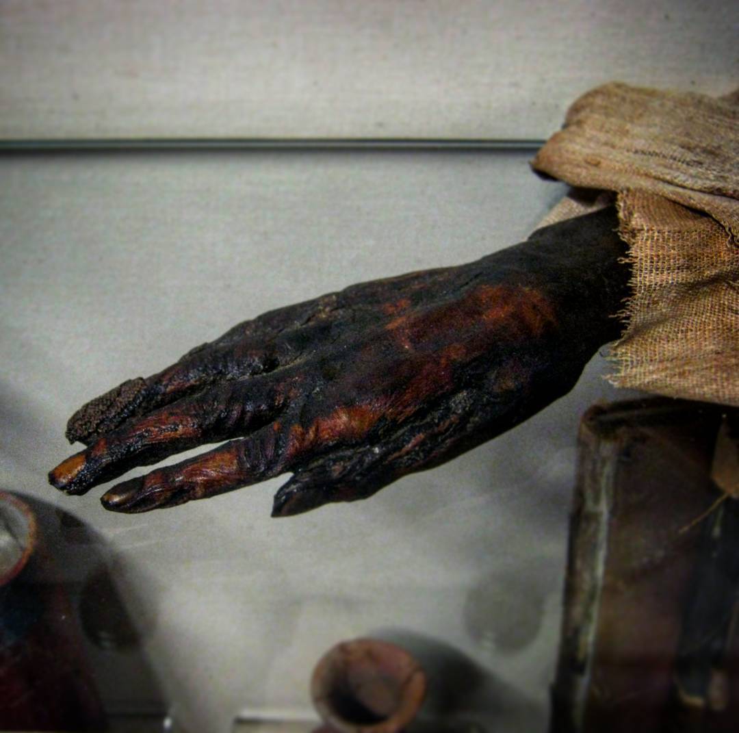 Click for the gallery page to add comments and vote (PID:163536) Kendal Museum