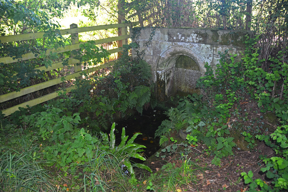Click for the gallery page to add comments and vote (PID:169464) St Ninian's Well (Brisco)