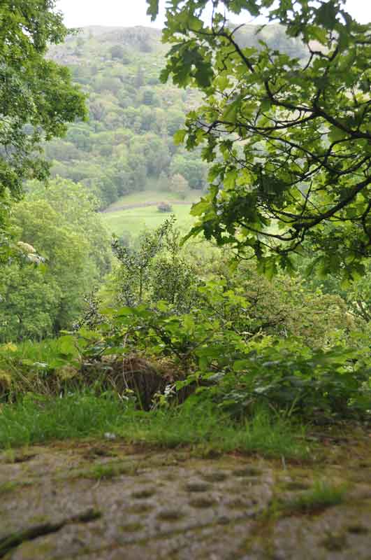 Click for the gallery page to add comments and vote (PID:120477) Grasmere Cup-Marked Rocks