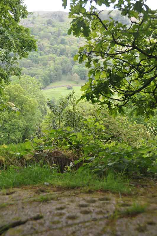 Grasmere Cup-Marked Rocks