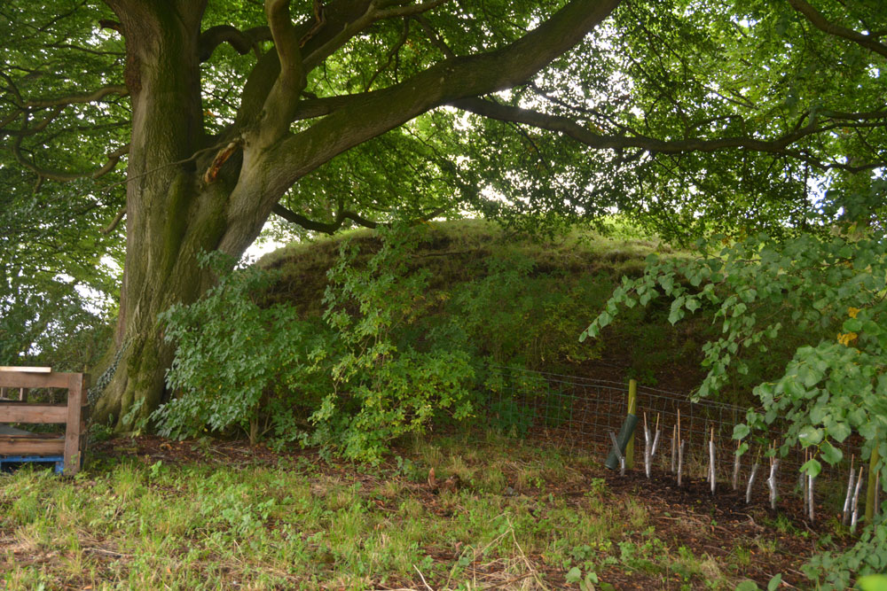 Click for the gallery page to add comments and vote (PID:169616) Irthington Motte
