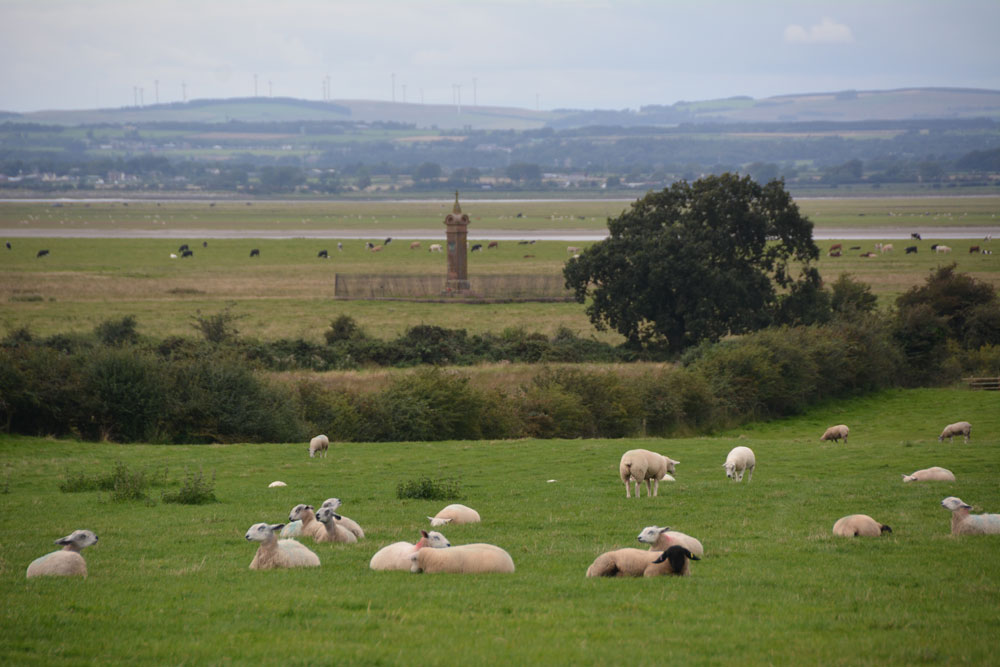 Click for the gallery page to add comments and vote (PID:169576) King Edward's Monument