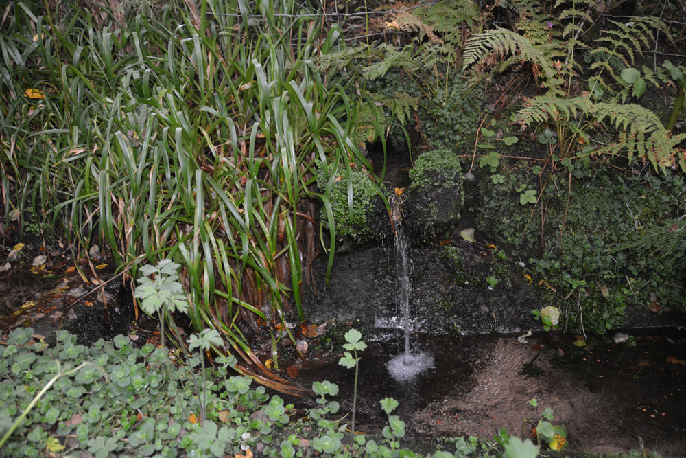 St Andrew's Well (Kirkandrews-on-Eden)