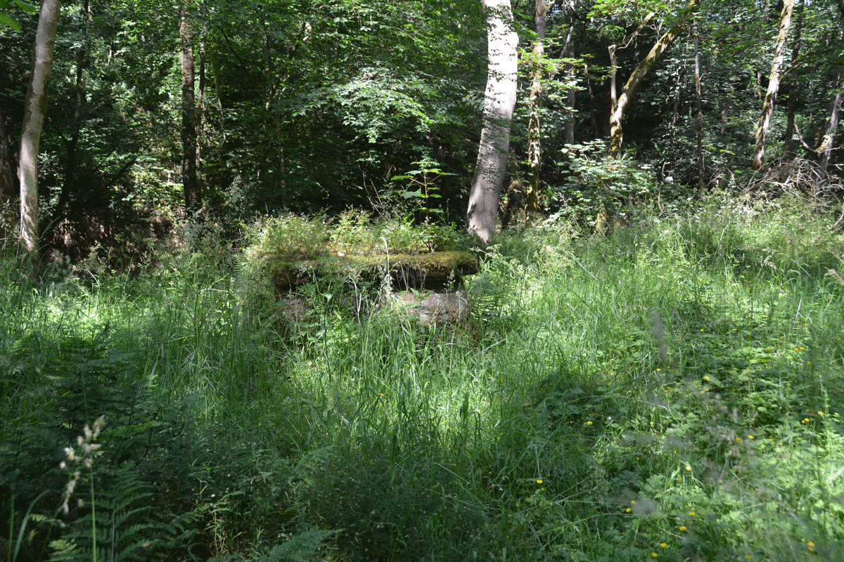 Click for the gallery page to add comments and vote (PID:244461) St Michael's Well (Shawk)