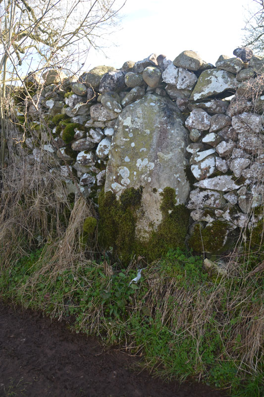 Click for the gallery page to add comments and vote (PID:163478) Newbeggin Stone Row (Possible)