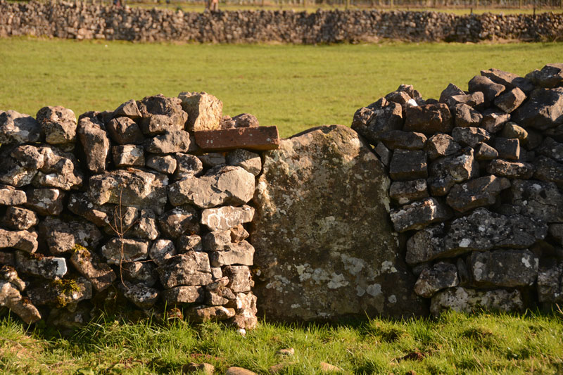 Click for the gallery page to add comments and vote (PID:163476) Newbiggin Stone Row (Stone 5)