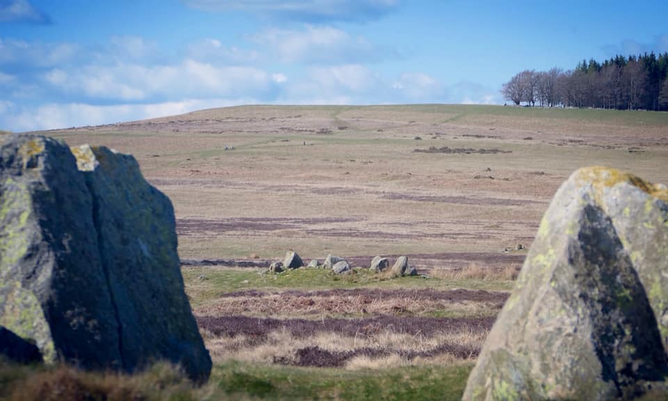 Click for the gallery page to add comments and vote (PID:240436) Moor Divock 4