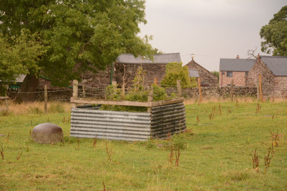 Bessygarth Well (King's Meaburn)