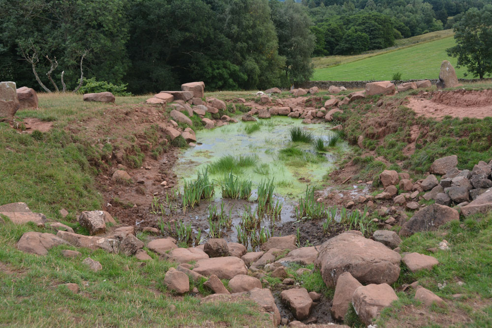 Click for the gallery page to add comments and vote (PID:184378) Chapel Well (Staffield)