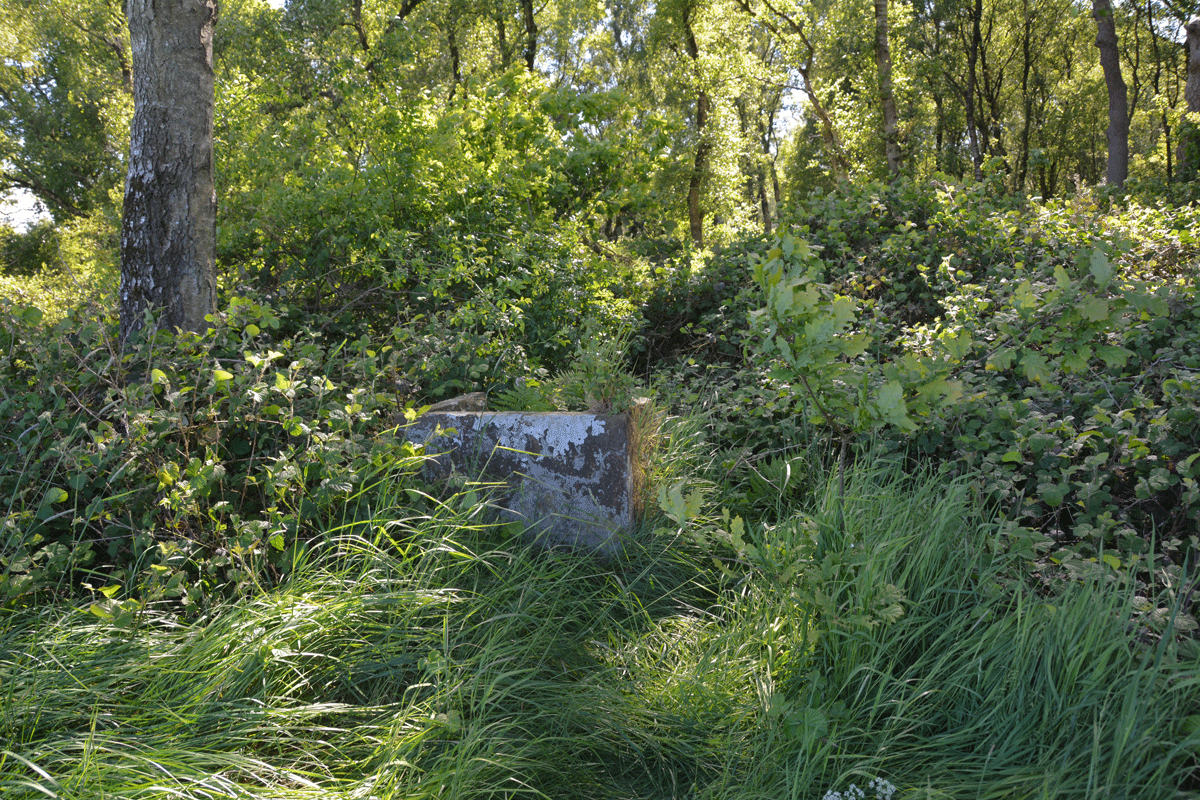 Click for full size image of Finglandrigg Spa Well (Chalybeate) (PID:242653) Finglandrigg Spa Well (Chalybeate)