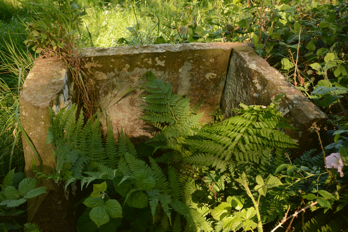 Click for the gallery page to add comments and vote (PID:242654) Finglandrigg Spa Well (Chalybeate)