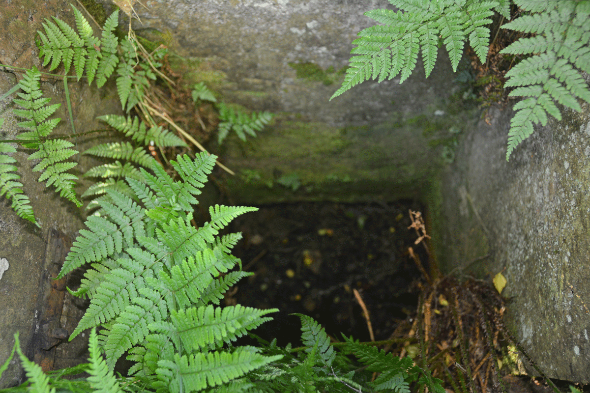 Click for full size image of Finglandrigg Spa Well (Chalybeate) (PID:242650) Finglandrigg Spa Well (Chalybeate)