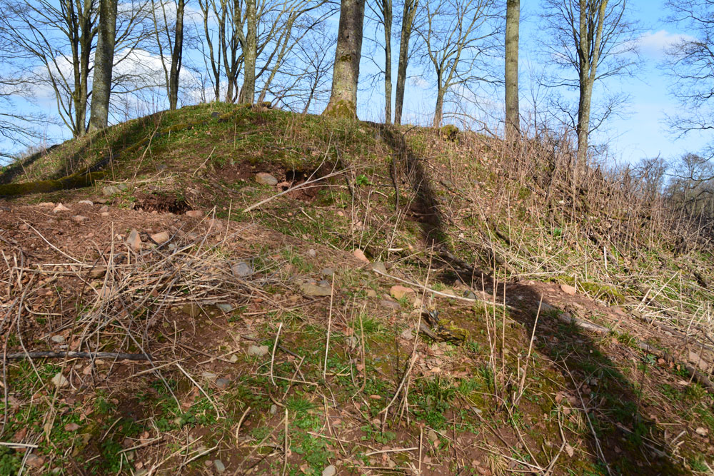 Click for the gallery page to add comments and vote (PID:180123) Castlesteads (Lowther)