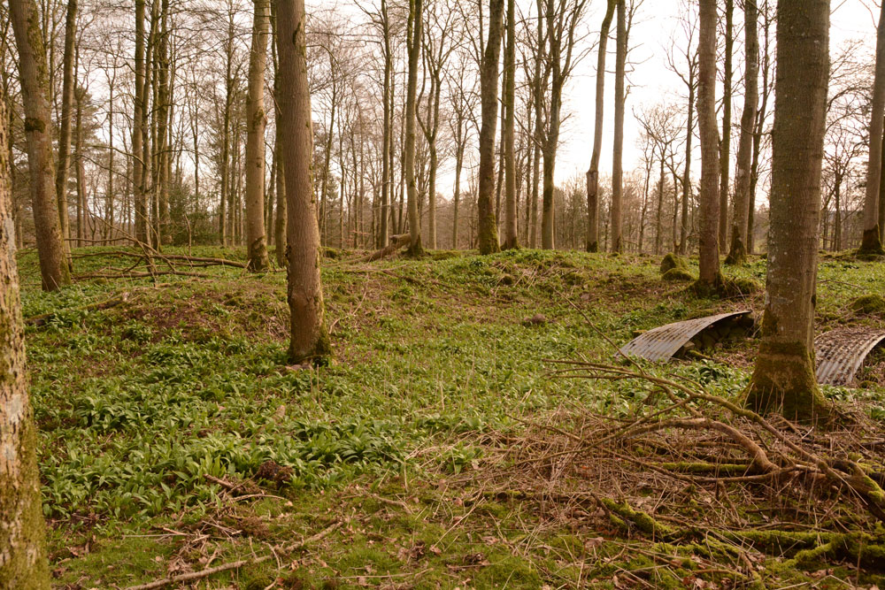 Click for the gallery page to add comments and vote (PID:179914) Castlesteads (Yanwath Wood)
