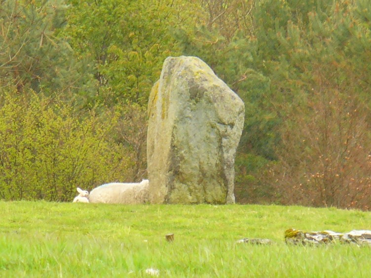 Goggleby Stone