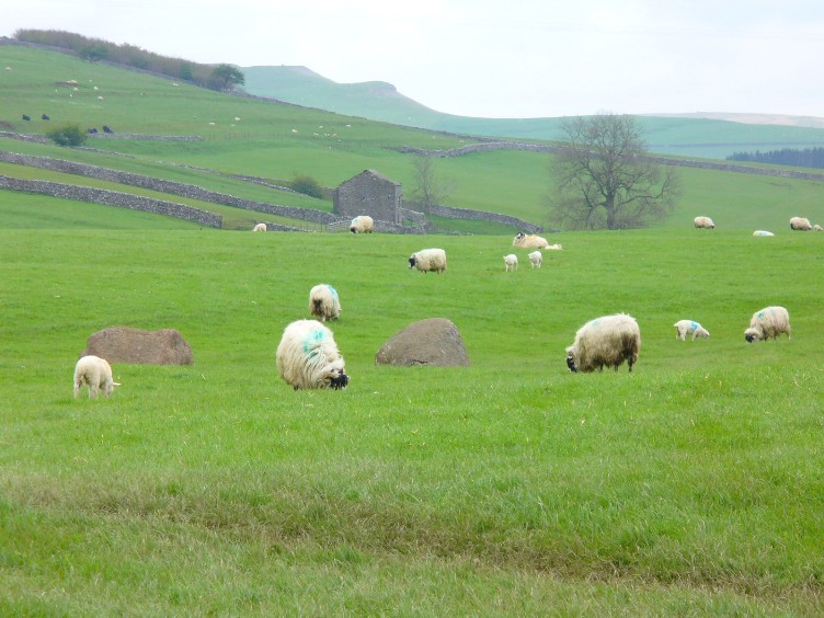 Gamelands