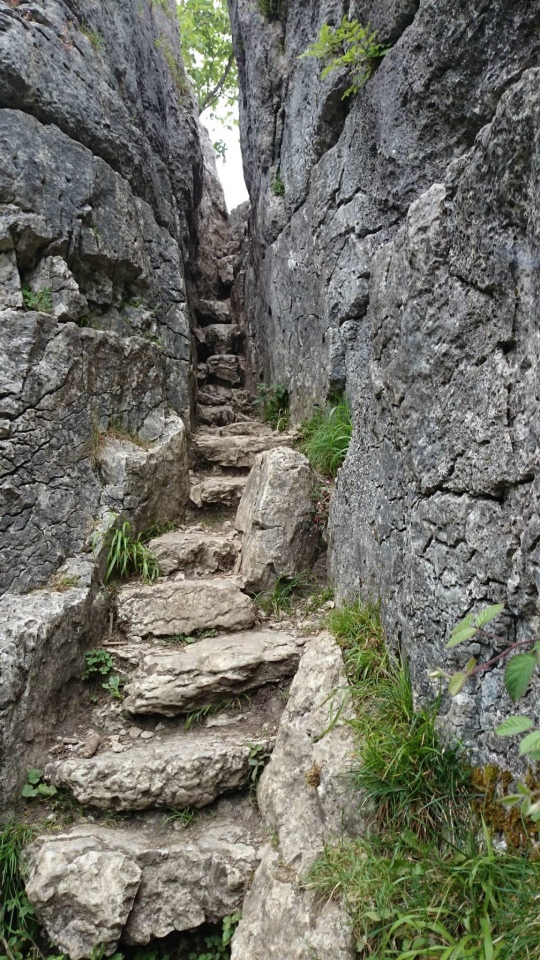 The Fairy Steps