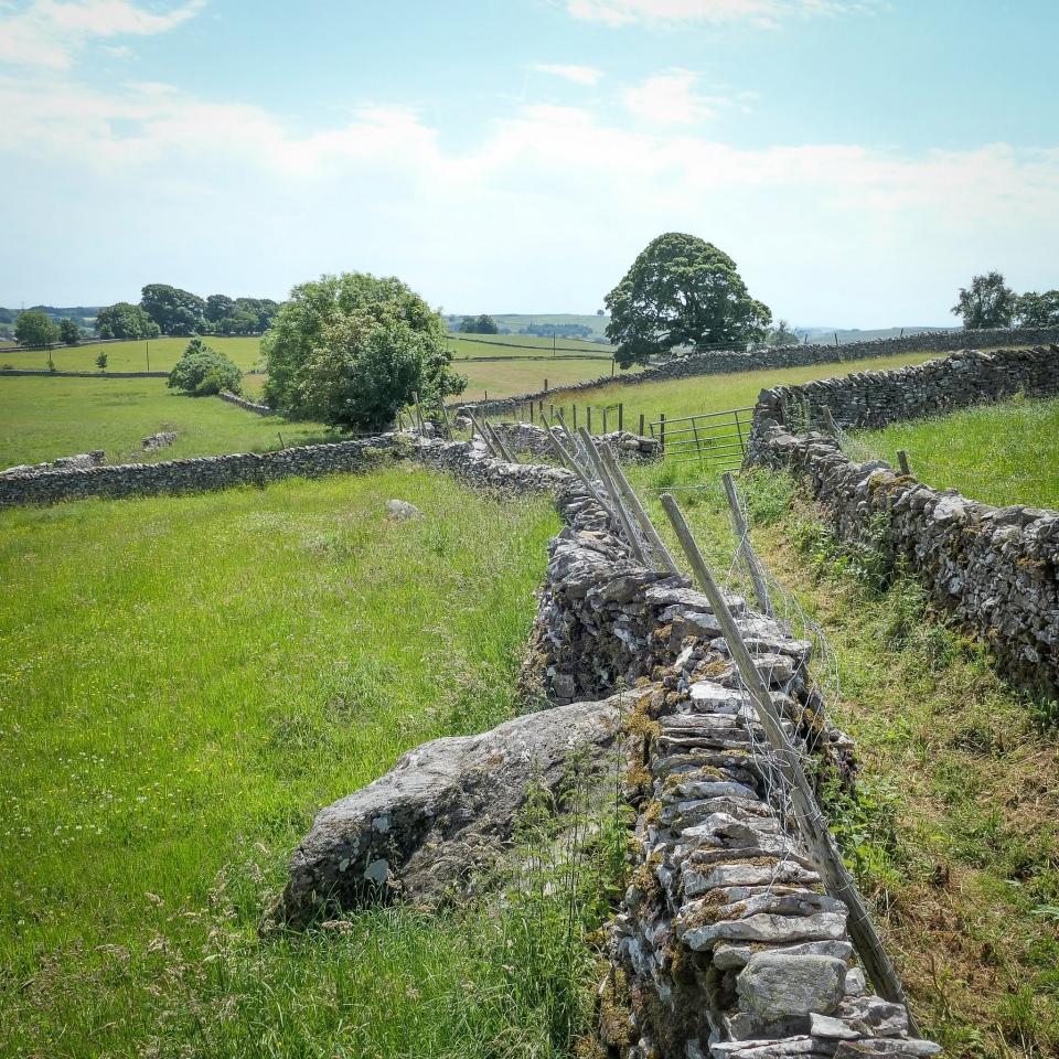 Click for the gallery page to add comments and vote (PID:306792) Keld Lane Stones