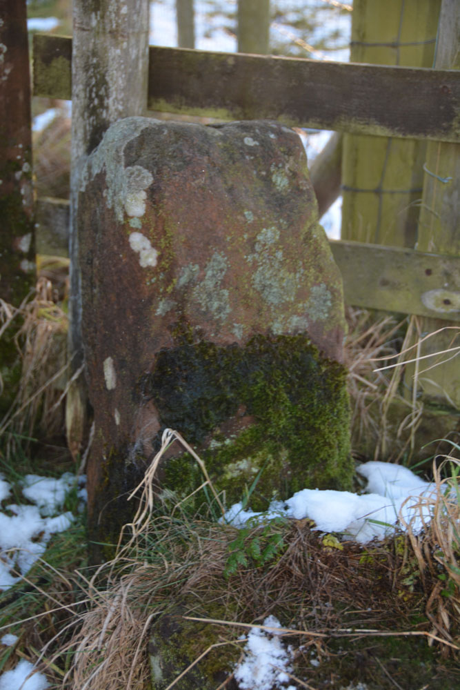 Click for the gallery page to add comments and vote (PID:177963) St Cuthbert's Church (Milburn)