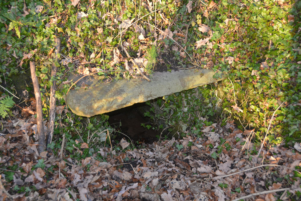 Homeacres Holy Well (Stanwix)