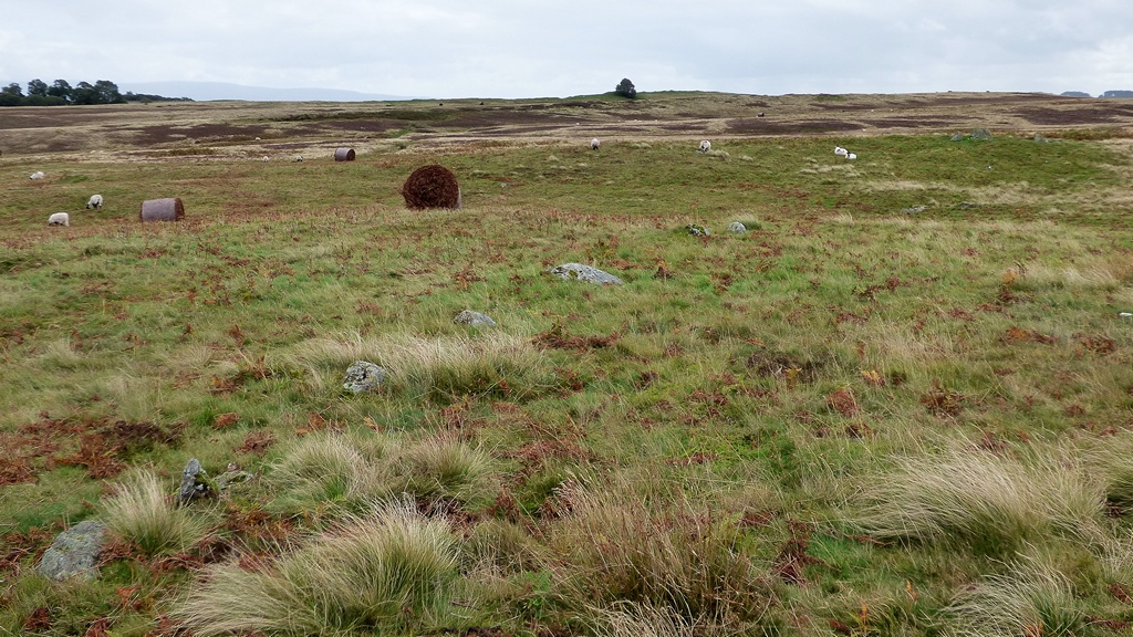 Askham Fell Stone Row