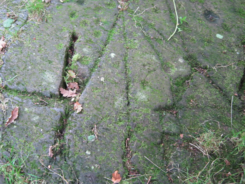 Click for the gallery page to add comments and vote (PID:113323) Grasmere Cup-Marked Rocks