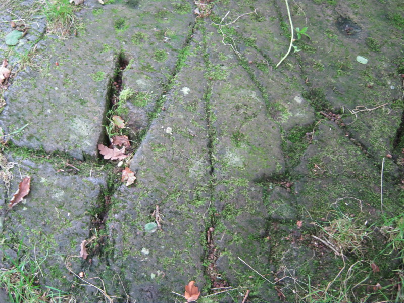 Grasmere Cup-Marked Rocks