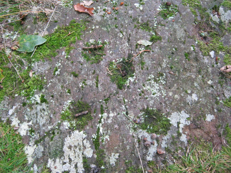 Click for the gallery page to add comments and vote (PID:113325) Grasmere Cup-Marked Rocks