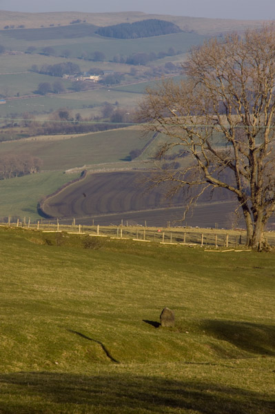 Click for the gallery page to add comments and vote (PID:43387) High Ireby Standing Stone