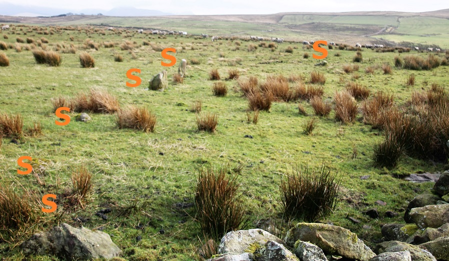 Six of the stones on the east side of the wall. This scruffy circle across a very very wet (in February) field close to a small boggy wood was once ***very far from unimportant.*** Burl compares it favourably in terms of its significance, size, and age, with both Castlerigg and Swinside.