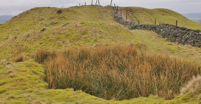 Helm Hill