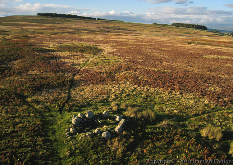 Click for the gallery page to add comments and vote (PID:67228) Moor Divock 4