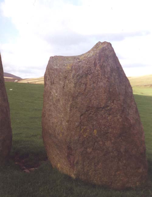 Swinside (PID:15626) Swinside