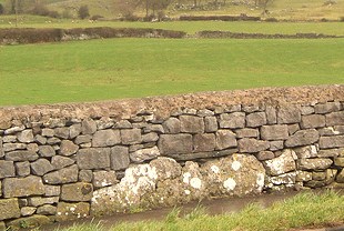 Click for the gallery page to add comments and vote (PID:58035) The Priapus Stone, Great Urswick