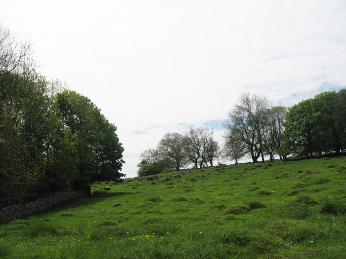 Click for the gallery page to add comments and vote (PID:120152) Urswick Stone Walls