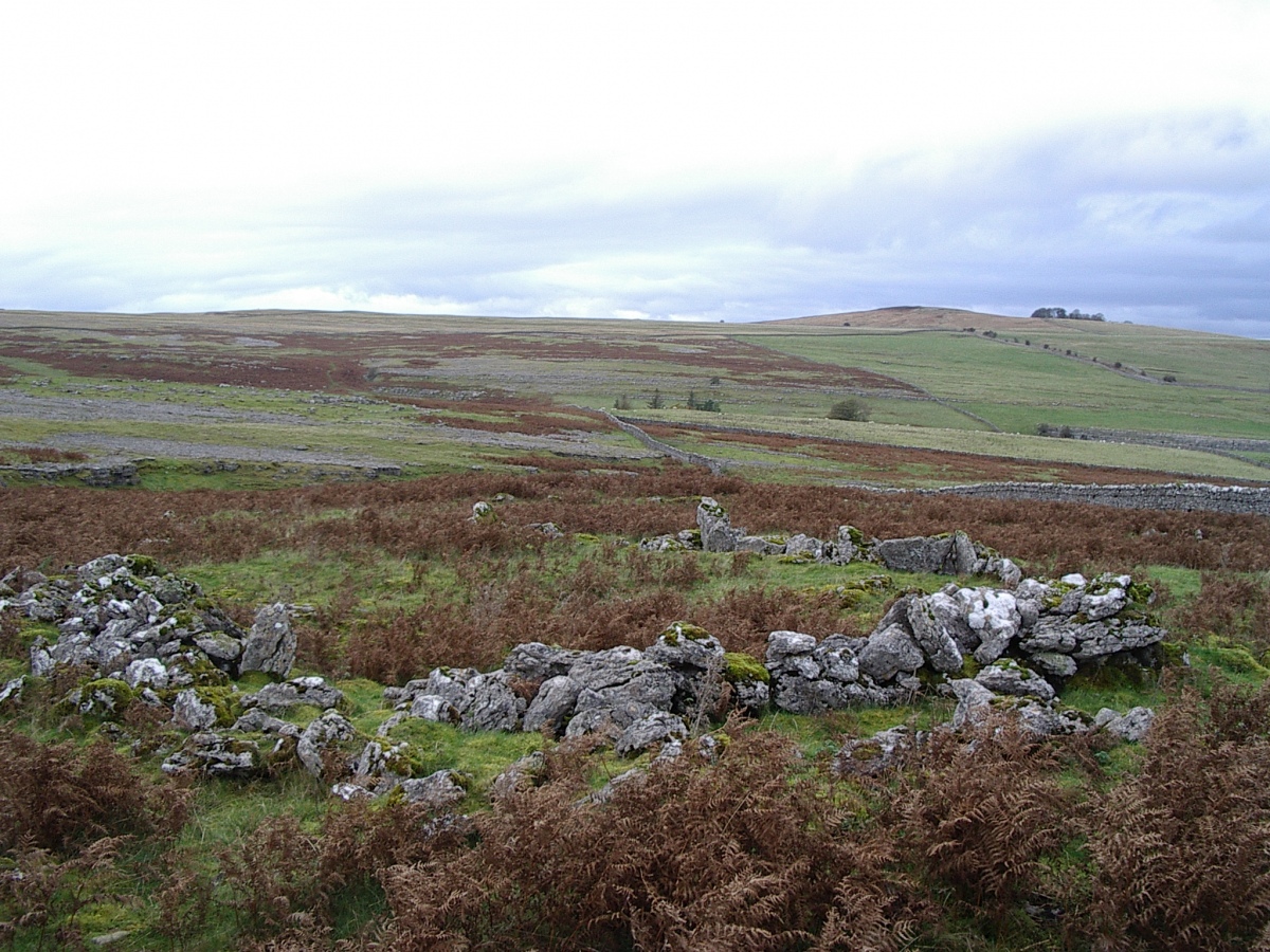 Ling Bank South Prehistoric Settlement/Enclosures