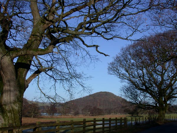 Click for the gallery page to add comments and vote (PID:18704) Dunmallard