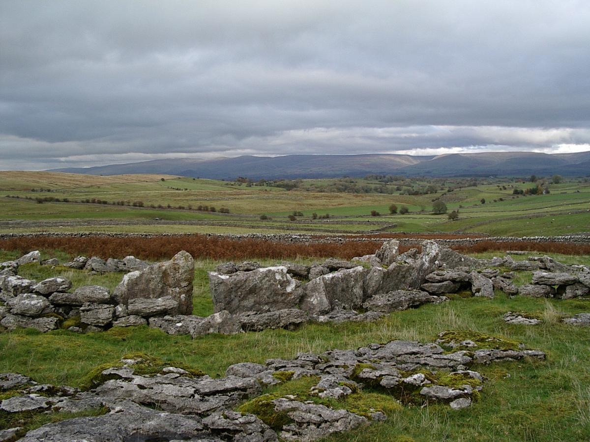 Ling Bank North Settlement/Enclosures