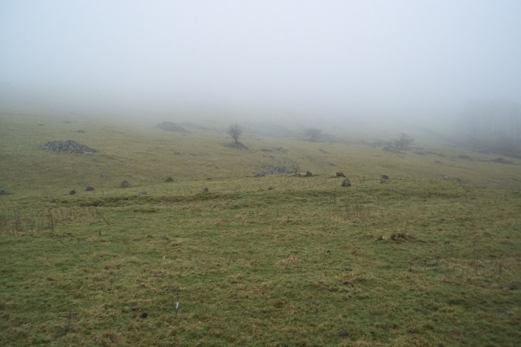 Casterton