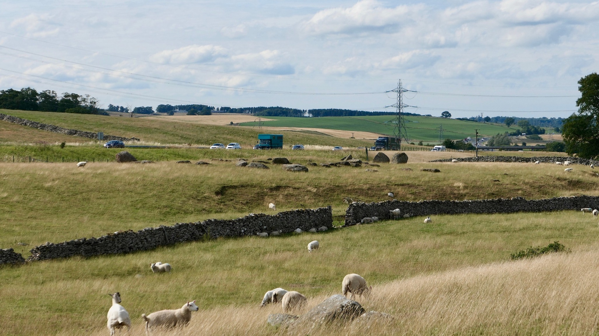 Click for the gallery page to add comments and vote (PID:184733) Gunnerkeld