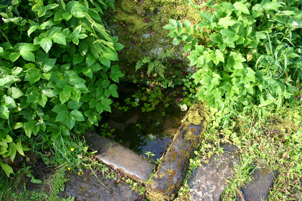 Click for the gallery page to add comments and vote (PID:14967) St Mungo's Well (Cumbria)