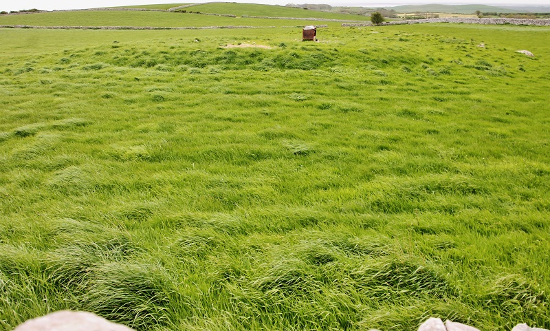 Birkrigg Common Platform Cairn