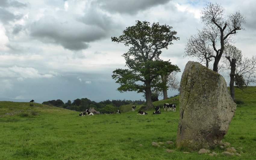 Mayburgh