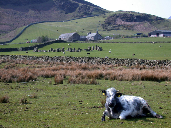 Swinside