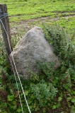Newbeggin Stone Row (Stone 1)